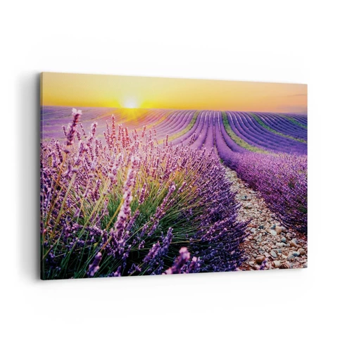 Canvas picture - Fragrant Field - 100x70 cm