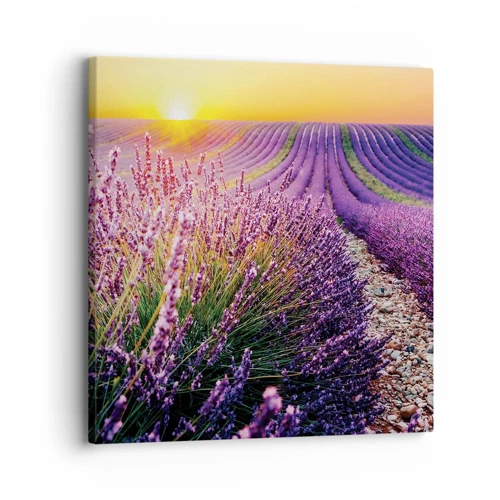 Canvas picture - Fragrant Field - 30x30 cm