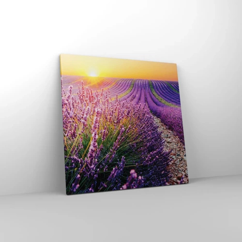 Canvas picture - Fragrant Field - 60x60 cm