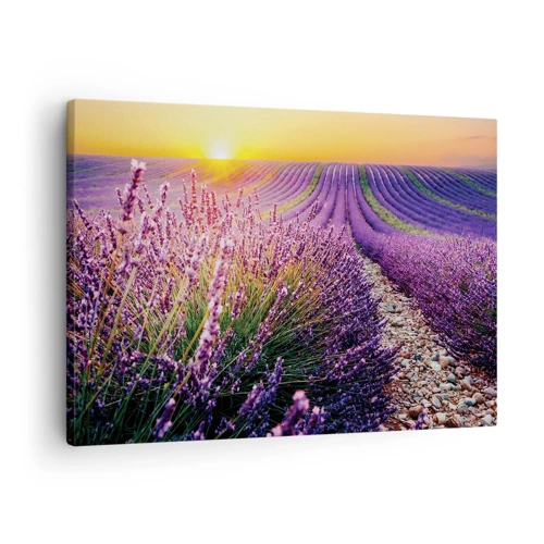 Canvas picture - Fragrant Field - 70x50 cm