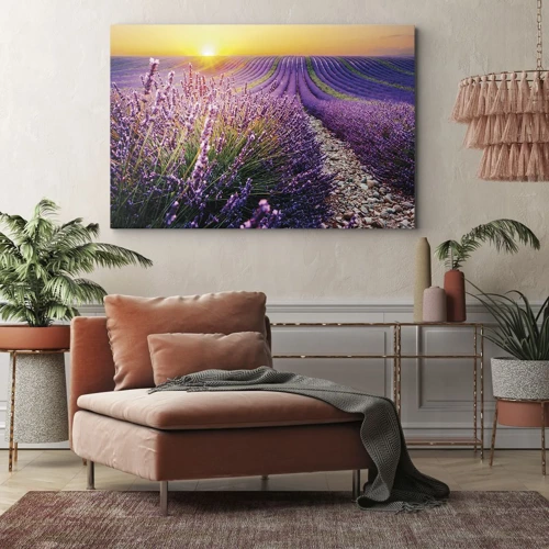 Canvas picture - Fragrant Field - 70x50 cm