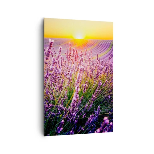 Canvas picture - Fragrant Field - 80x120 cm