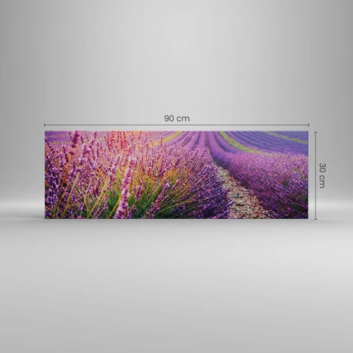 Canvas picture - Fragrant Field - 90x30 cm