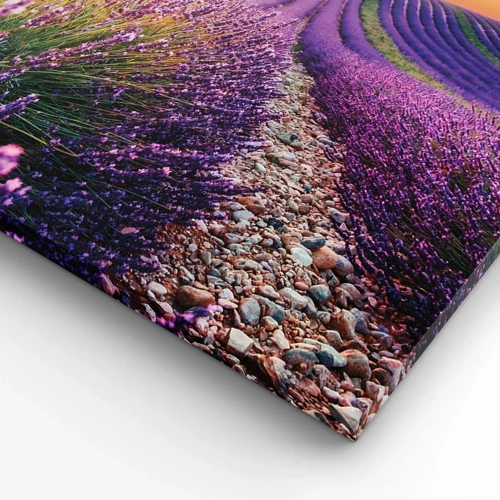 Canvas picture - Fragrant Field - 90x30 cm