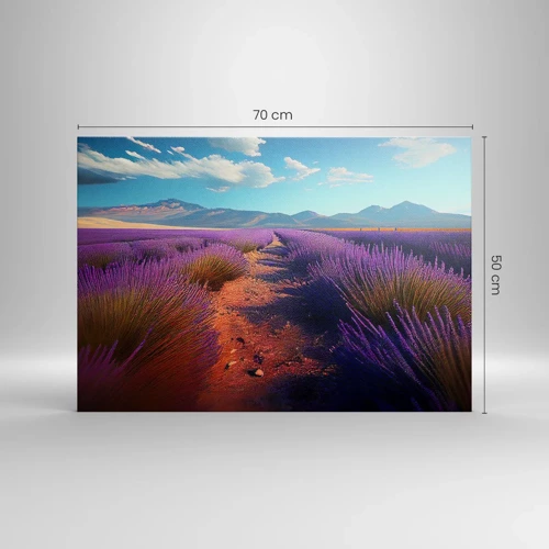 Canvas picture - Fragrant Fields - 70x50 cm