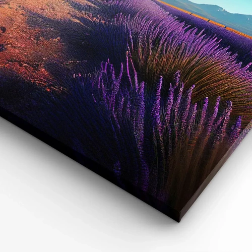 Canvas picture - Fragrant Fields - 70x50 cm