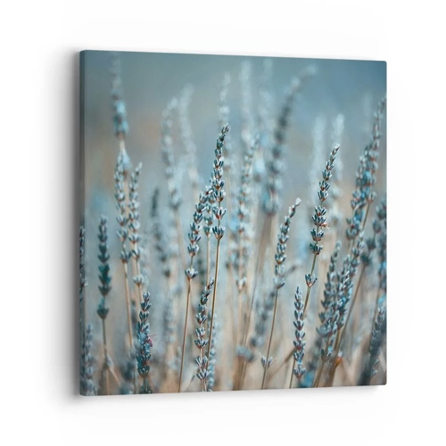 Canvas picture - Fragrant Grass - 40x40 cm