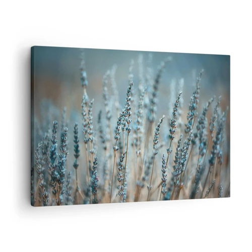 Canvas picture - Fragrant Grass - 70x50 cm