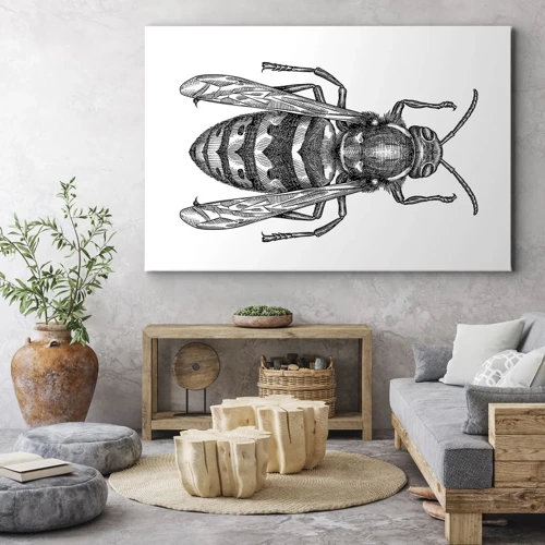 Canvas picture - From Insect Planet - 70x50 cm