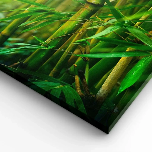 Canvas picture - Getting to Know the Green - 45x80 cm