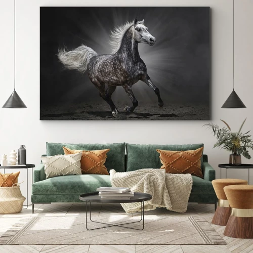 Canvas picture - Grey Is Beautiful - 70x50 cm