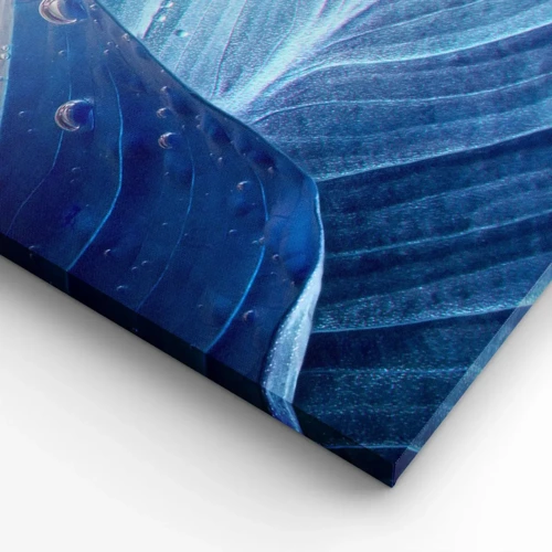 Canvas picture - Hidden Drops of Blue - 70x100 cm