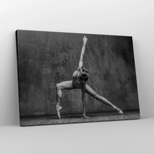 Canvas picture - Ideal of Balance - 70x50 cm