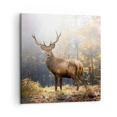 Canvas picture - In Full Majesty - 50x50 cm