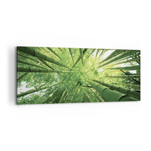 Canvas picture - In a Bamboo Forest - 100x40 cm