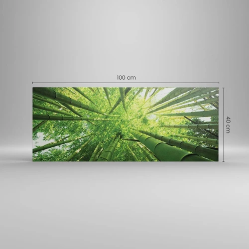 Canvas picture - In a Bamboo Forest - 100x40 cm