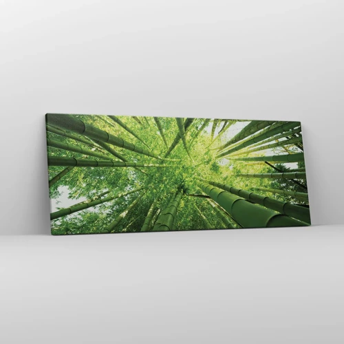 Canvas picture - In a Bamboo Forest - 100x40 cm