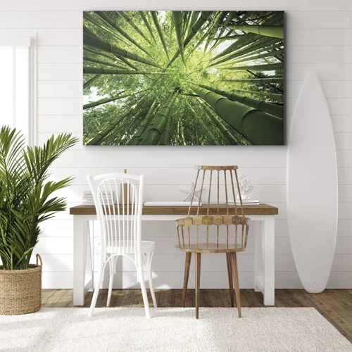 Canvas picture - In a Bamboo Forest - 100x70 cm