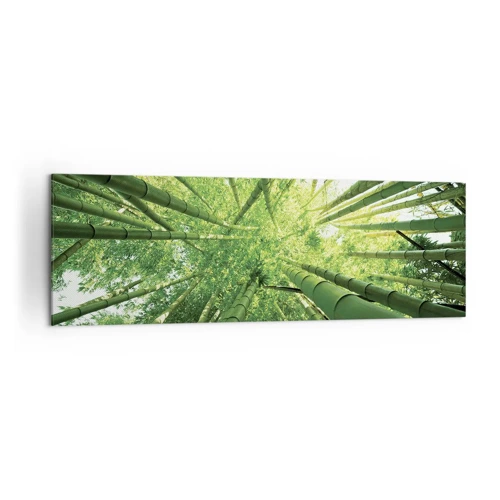 Canvas picture - In a Bamboo Forest - 160x50 cm