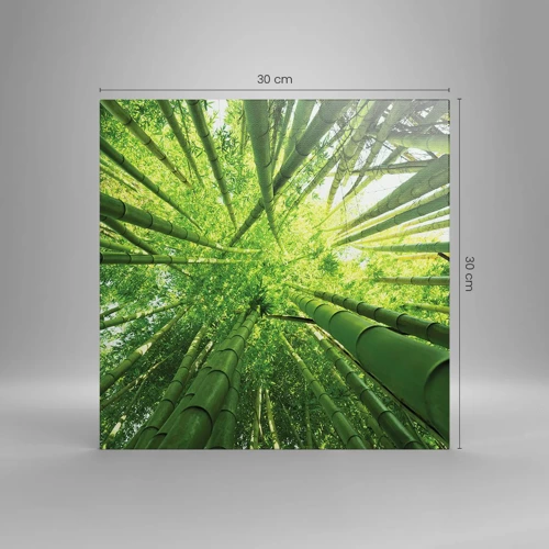 Canvas picture - In a Bamboo Forest - 30x30 cm