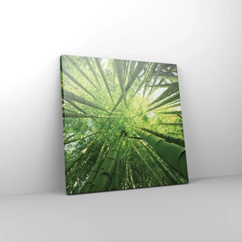 Canvas picture - In a Bamboo Forest - 30x30 cm