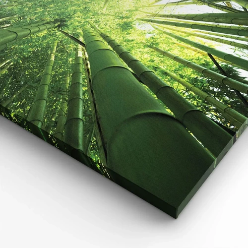 Canvas picture - In a Bamboo Forest - 30x30 cm