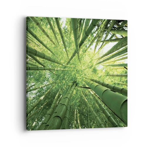 Canvas picture - In a Bamboo Forest - 40x40 cm