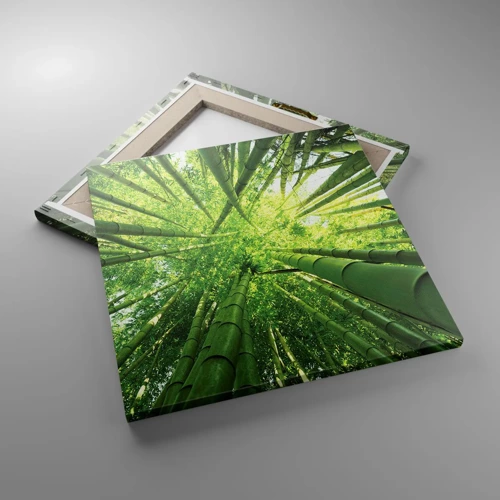 Canvas picture - In a Bamboo Forest - 40x40 cm