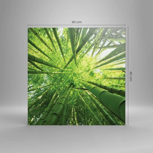 Canvas picture - In a Bamboo Forest - 40x40 cm