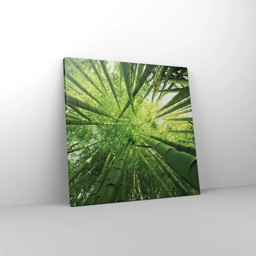 Canvas picture - In a Bamboo Forest - 40x40 cm