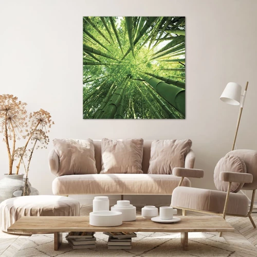 Canvas picture - In a Bamboo Forest - 50x50 cm