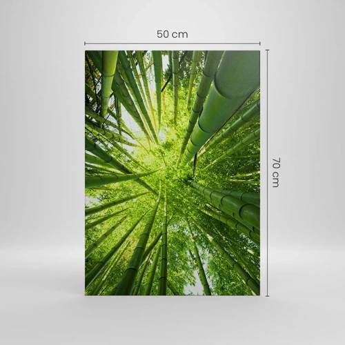 Canvas picture - In a Bamboo Forest - 50x70 cm