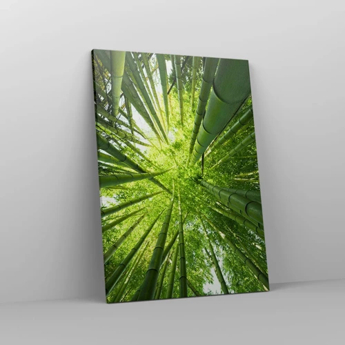 Canvas picture - In a Bamboo Forest - 50x70 cm