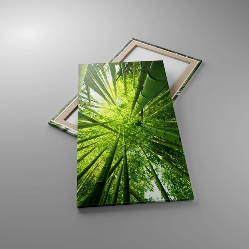 Canvas picture - In a Bamboo Forest - 55x100 cm