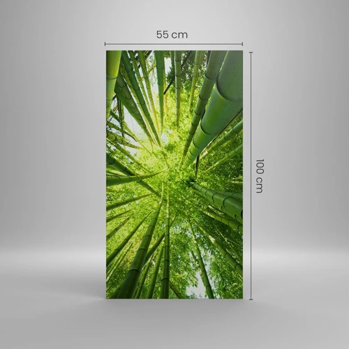 Canvas picture - In a Bamboo Forest - 55x100 cm