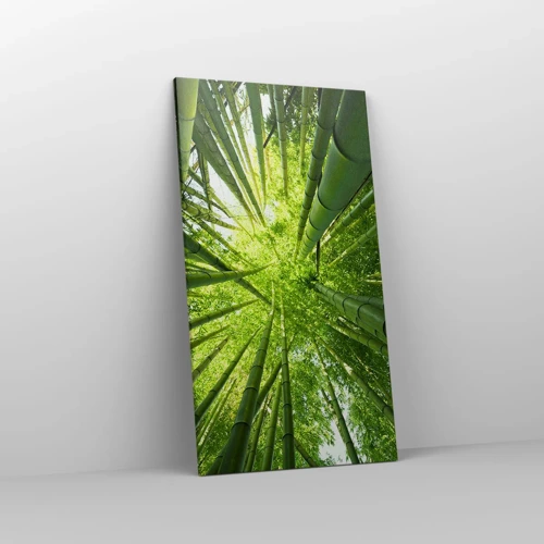 Canvas picture - In a Bamboo Forest - 55x100 cm