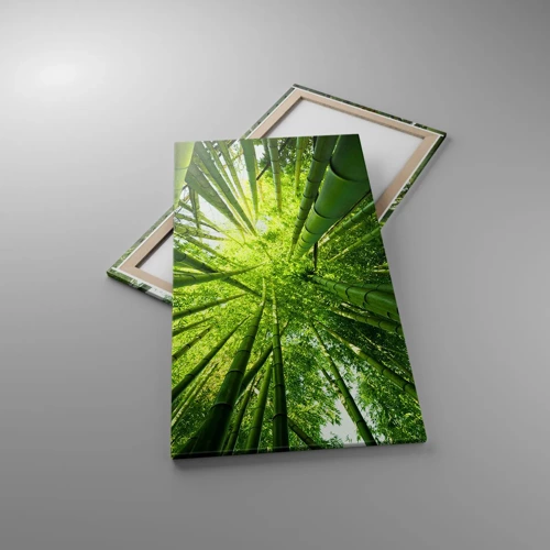 Canvas picture - In a Bamboo Forest - 65x120 cm