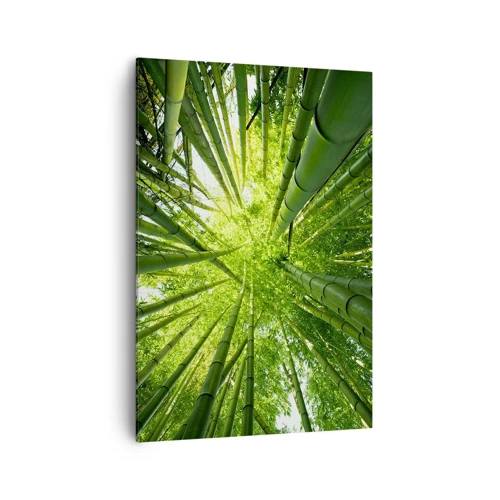 Canvas picture - In a Bamboo Forest - 70x100 cm