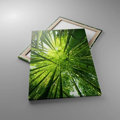 Canvas picture - In a Bamboo Forest - 70x100 cm