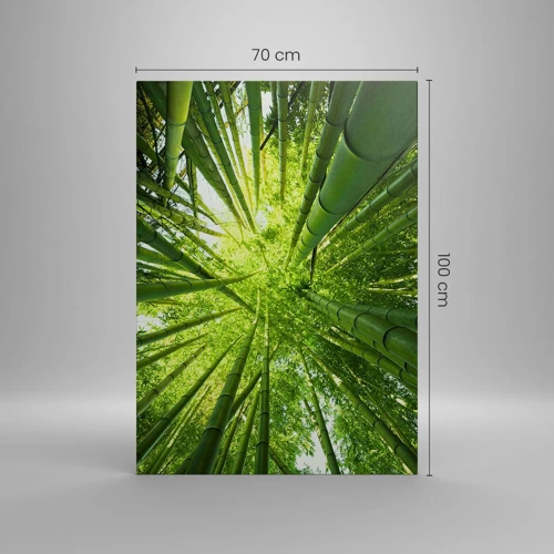 Canvas picture - In a Bamboo Forest - 70x100 cm