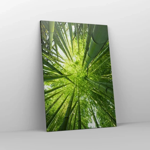 Canvas picture - In a Bamboo Forest - 70x100 cm