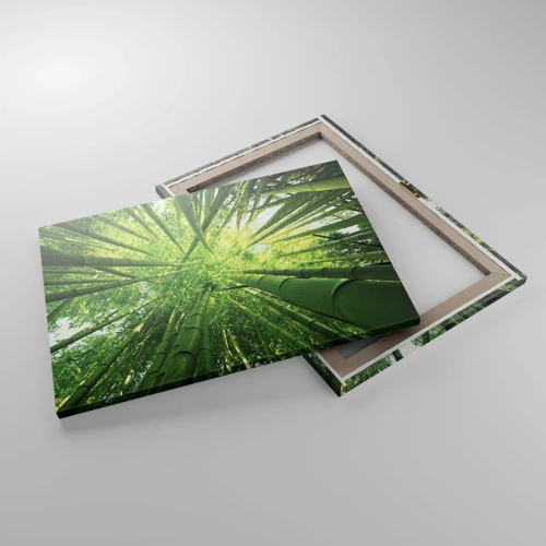 Canvas picture - In a Bamboo Forest - 70x50 cm