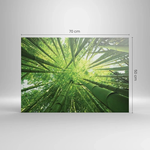 Canvas picture - In a Bamboo Forest - 70x50 cm