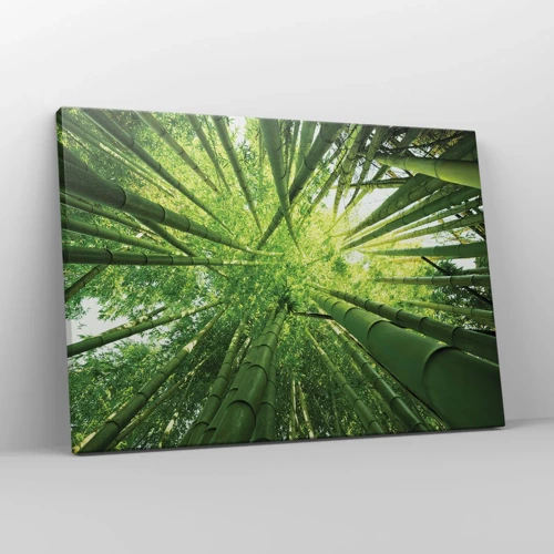 Canvas picture - In a Bamboo Forest - 70x50 cm