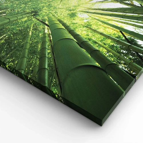 Canvas picture - In a Bamboo Forest - 70x50 cm
