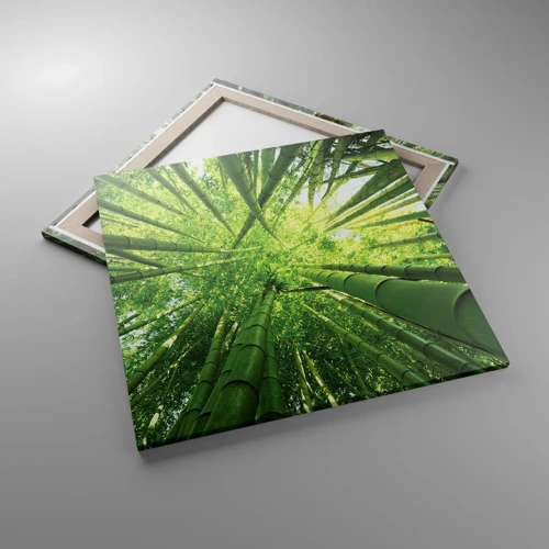 Canvas picture - In a Bamboo Forest - 70x70 cm