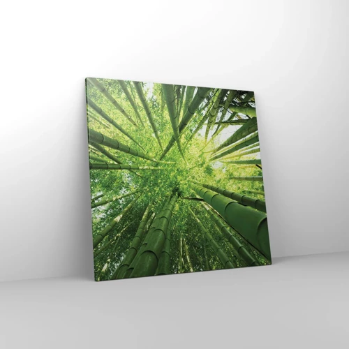 Canvas picture - In a Bamboo Forest - 70x70 cm