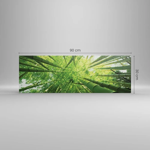 Canvas picture - In a Bamboo Forest - 90x30 cm