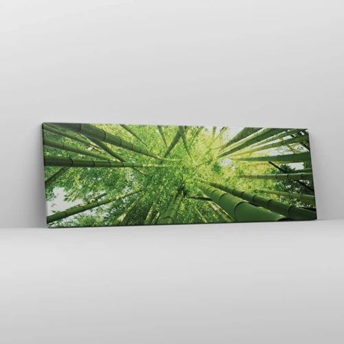 Canvas picture - In a Bamboo Forest - 90x30 cm