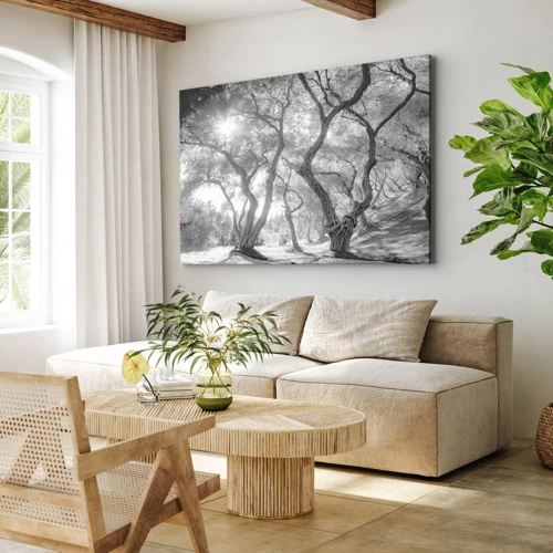 Canvas picture - In an Olive Grove - 100x70 cm